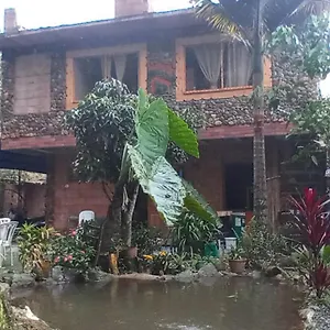 Pensión Bosques Del Rio