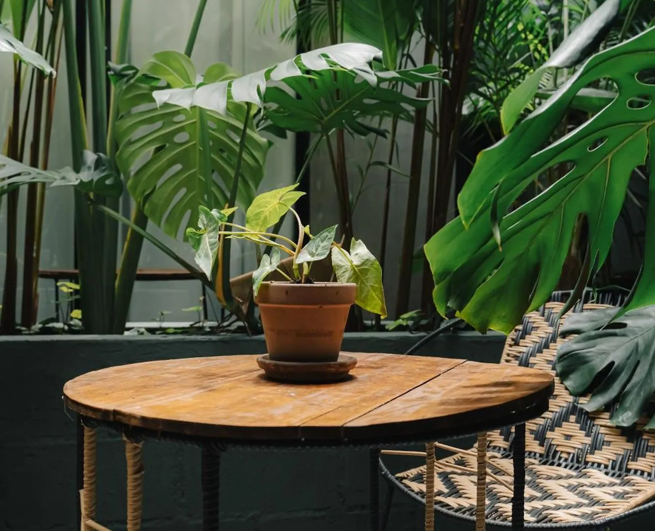 Poblado Muuk Hotel Boutique Campestre Medellin
