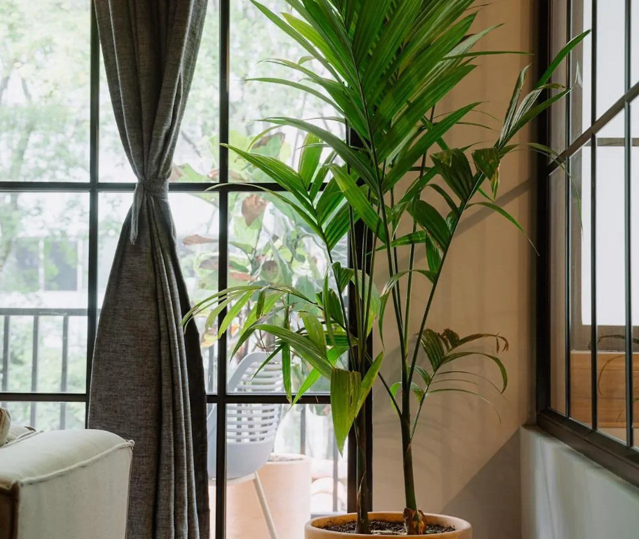 Poblado Muuk Hotel Boutique Campestre Medellin